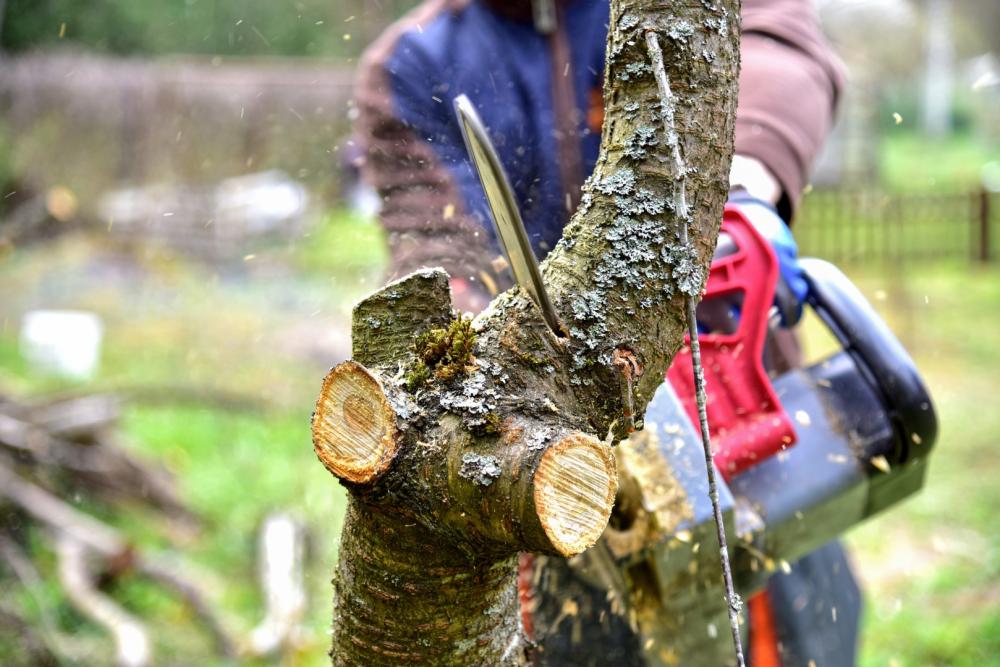 Façonnage de bois près de Lanvollon