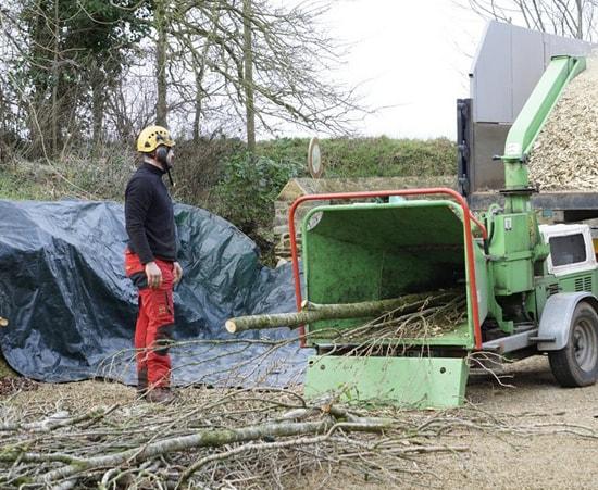 Évacuation bois branches souche près de Lanvollon